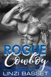 Rogue Cowboy synopsis, comments