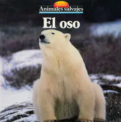 el oso book cover image