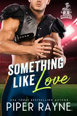 something like love book cover image