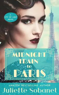 midnight train to paris book cover image