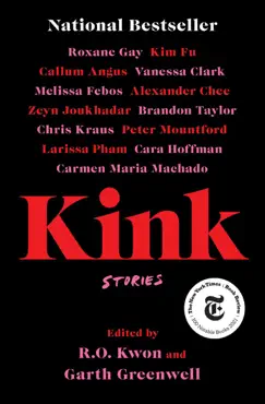 kink book cover image