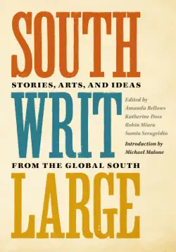 south writ large book cover image