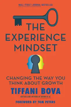 the experience mindset book cover image