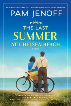 the last summer at chelsea beach book cover image