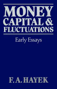 money, capital, and fluctuations book cover image