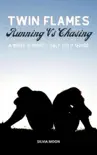 Twin Flame Running vs Chasing synopsis, comments