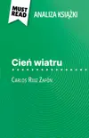 Cień wiatru książka Carlos Ruiz Zafón (Analiza książki) sinopsis y comentarios