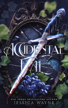 accidental fae book cover image
