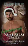 Christmas in Malsum Pass synopsis, comments