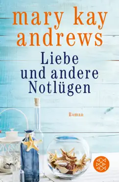 liebe und andere notlügen book cover image