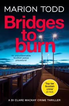 bridges to burn book cover image