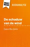 De schaduw van de wind van Carlos Ruiz Zafón (Boekanalyse) sinopsis y comentarios