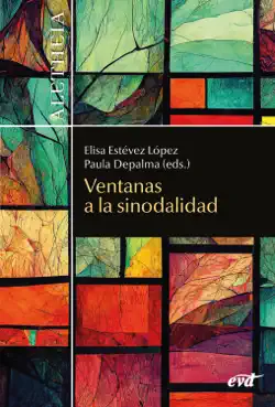 ventanas a la sinodalidad book cover image