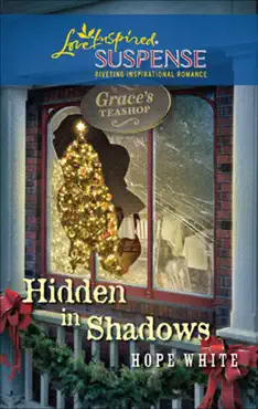hidden in shadows book cover image