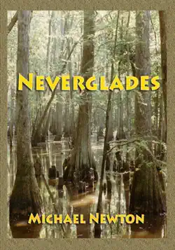 neverglades book cover image