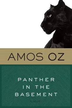 panther in the basement book cover image