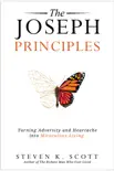 The Joseph Principles synopsis, comments