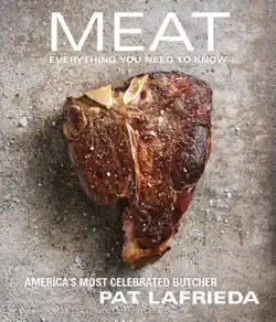 meat book cover image