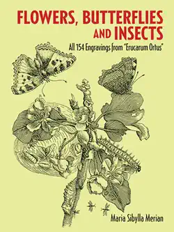 flowers, butterflies and insects imagen de la portada del libro