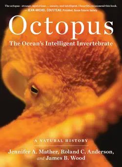 octopus book cover image