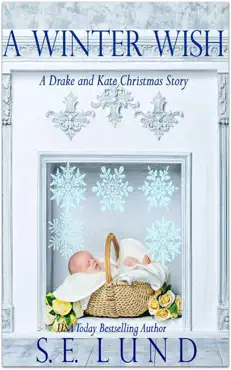 a winter wish book cover image