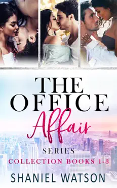 the office affair series book cover image