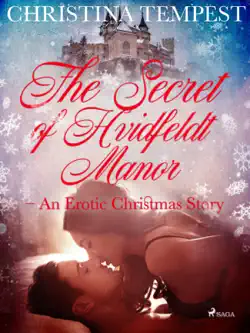 the secret of hvidfeldt manor - an erotic christmas story book cover image