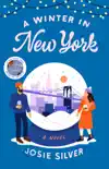 A Winter in New York synopsis, comments