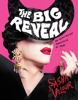 the big reveal book cover image