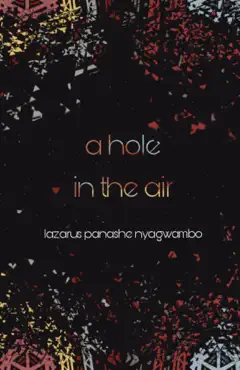 a hole in the air book cover image