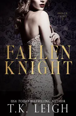 fallen knight book cover image