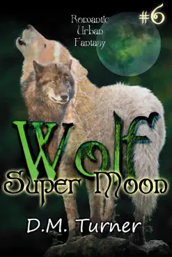 super moon book cover image