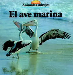 el ave marina book cover image