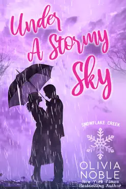 under a stormy sky book cover image