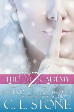 the academy - sound of snowfall book cover image