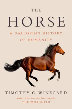 the horse book cover image