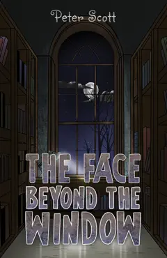 the face beyond the window book cover image