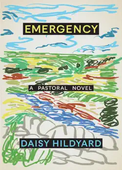 emergency book cover image