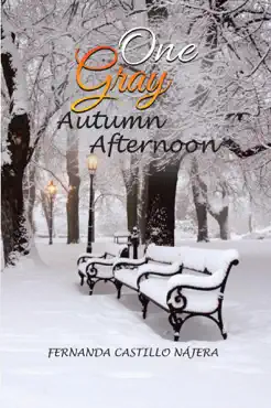 one gray autumn afternoon book cover image