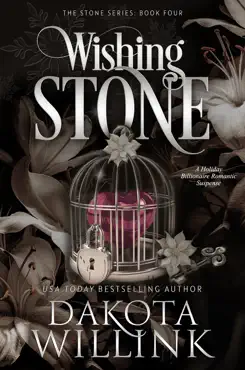 wishing stone imagen de la portada del libro