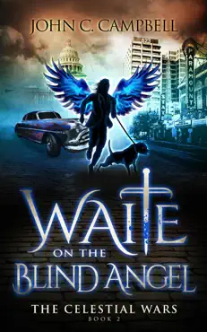 waite on the blind angel book cover image