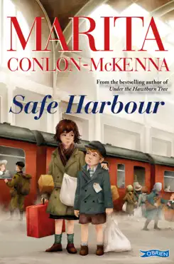 safe harbour book cover image