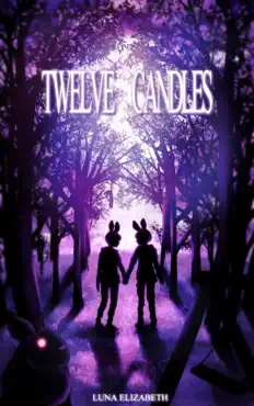 twelve candles book cover image