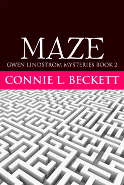 maze book cover image