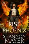 Rise of a Phoenix synopsis, comments