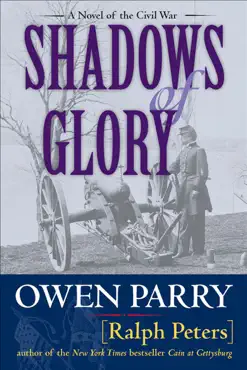 shadows of glory book cover image