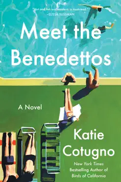 meet the benedettos book cover image