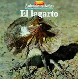 el lagarto book cover image