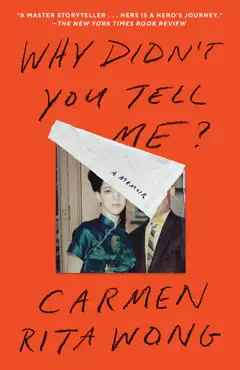 why didn't you tell me? book cover image