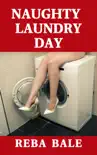 Naughty Laundry Day synopsis, comments